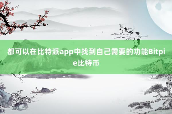 都可以在比特派app中找到自己需要的功能Bitpie比特币