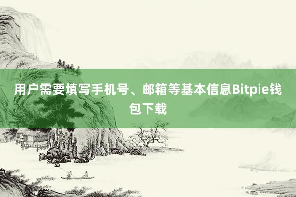 用户需要填写手机号、邮箱等基本信息Bitpie钱包下载