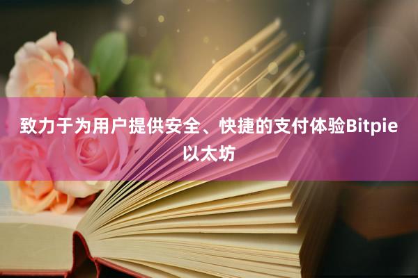 致力于为用户提供安全、快捷的支付体验Bitpie以太坊