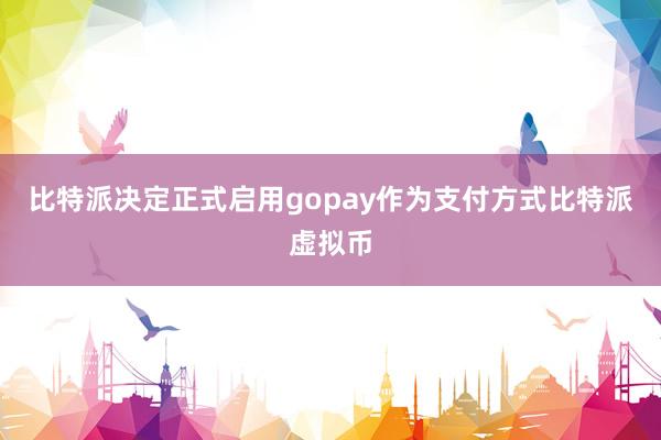 比特派决定正式启用gopay作为支付方式比特派虚拟币