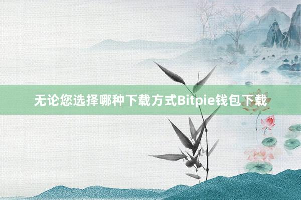 无论您选择哪种下载方式Bitpie钱包下载