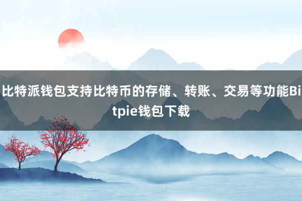 比特派钱包支持比特币的存储、转账、交易等功能Bitpie钱包下载