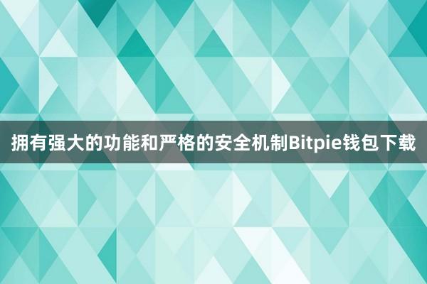 拥有强大的功能和严格的安全机制Bitpie钱包下载