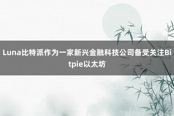 Luna比特派作为一家新兴金融科技公司备受关注Bitpie以太坊