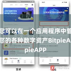 您可以在一个应用程序中管理您的各种数字资产BitpieAPP