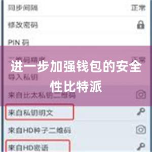 进一步加强钱包的安全性比特派