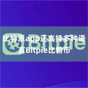 比特派app还支持多种语言Bitpie比特币