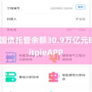 国债托管余额30.9万亿元BitpieAPP