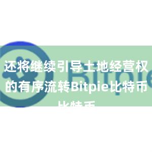 还将继续引导土地经营权的有序流转Bitpie比特币