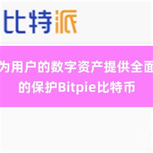 为用户的数字资产提供全面的保护Bitpie比特币