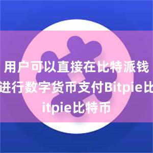 用户可以直接在比特派钱包上进行数字货币支付Bitpie比特币